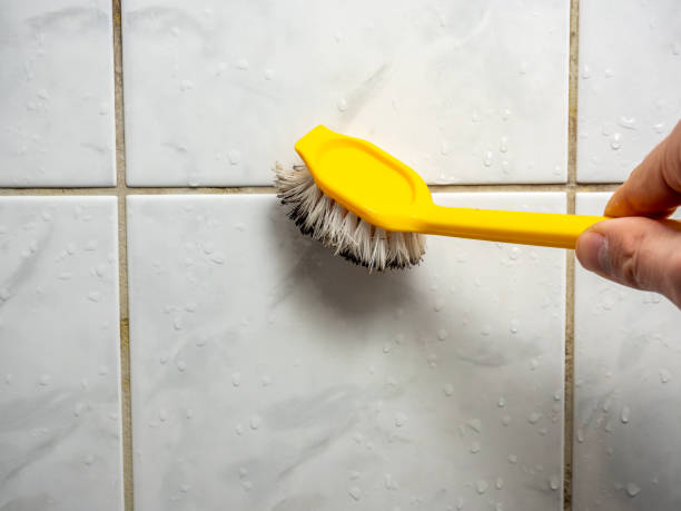 Best Mold Testing  in Maple Grove, MN